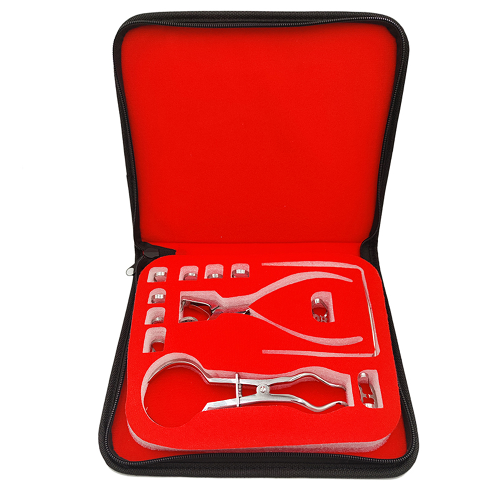 치과 댐 구멍 펀처 세트 가죽 가방 펜치 치과 의사 천 - Leatherwork Kit 리뷰 및 가격