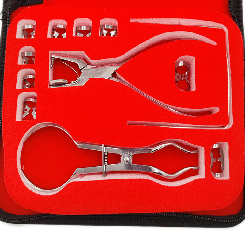 치과 댐 구멍 펀처 세트 가죽 가방 펜치 치과 의사 천 - Leatherwork Kit 리뷰 및 가격